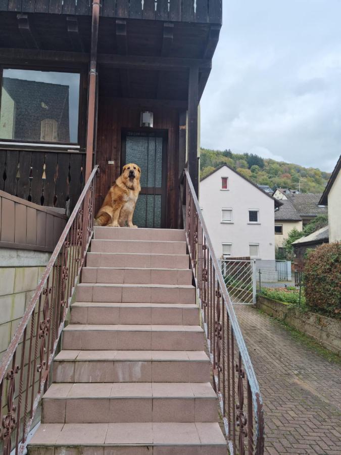 Main Zu Hause Villa Eichenbuhl  Dış mekan fotoğraf
