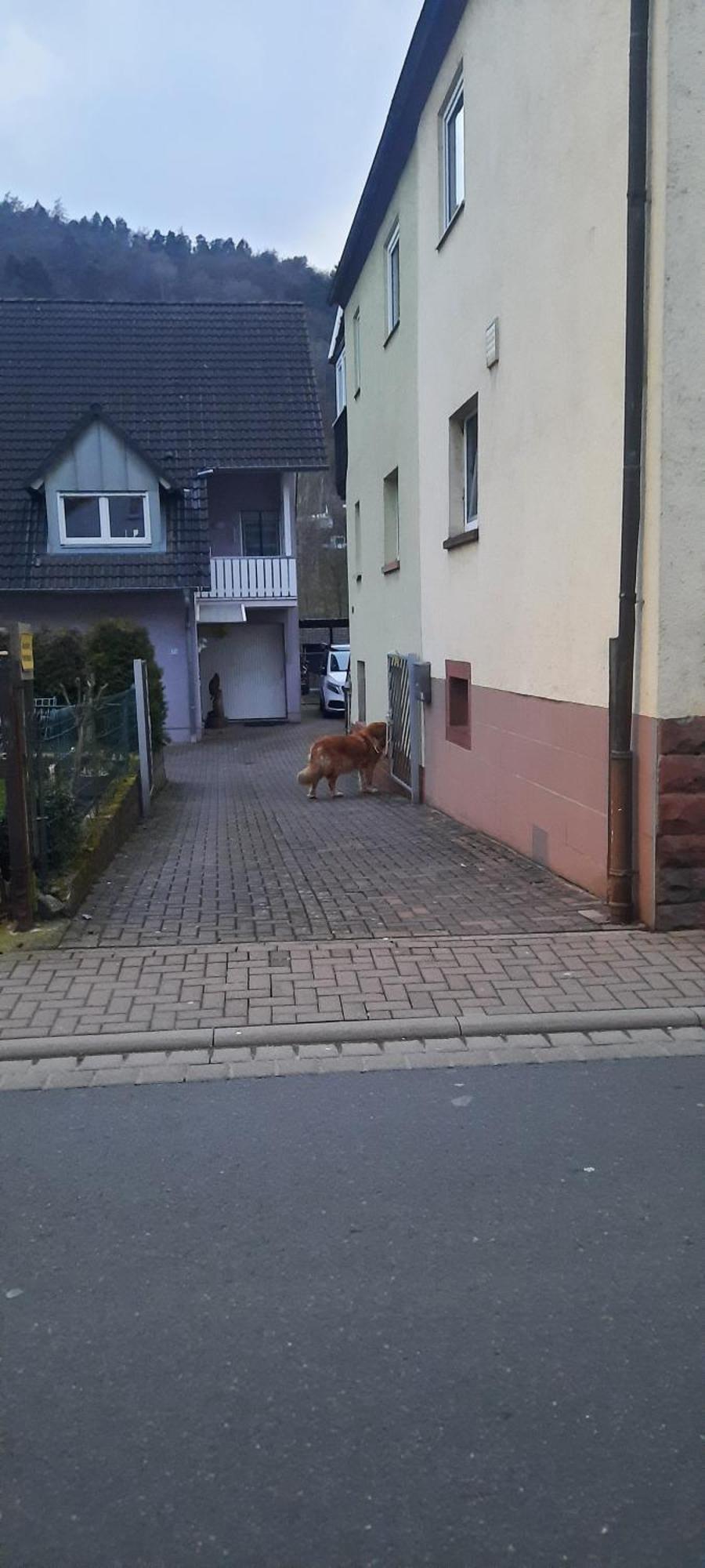 Main Zu Hause Villa Eichenbuhl  Dış mekan fotoğraf