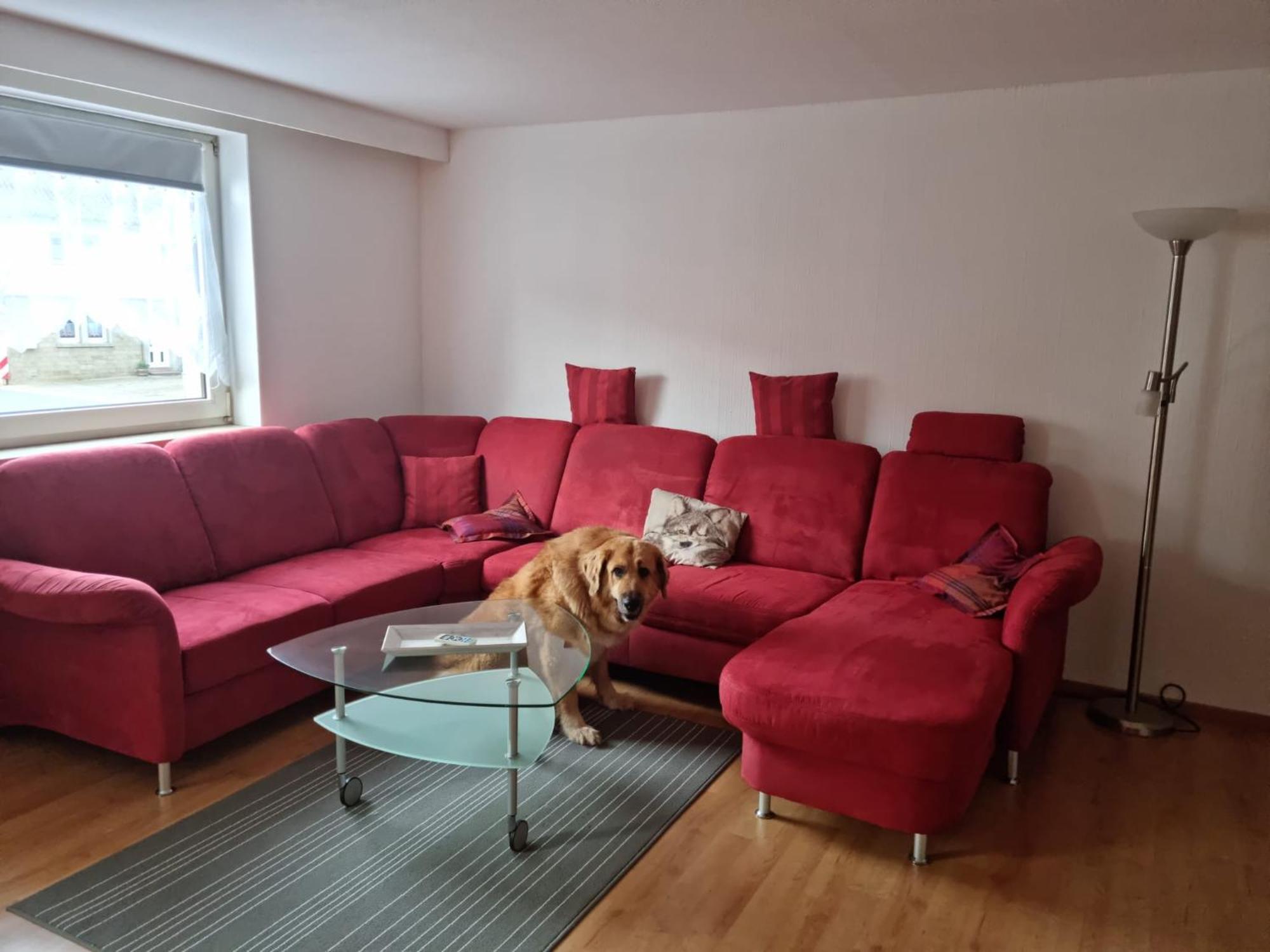 Main Zu Hause Villa Eichenbuhl  Dış mekan fotoğraf